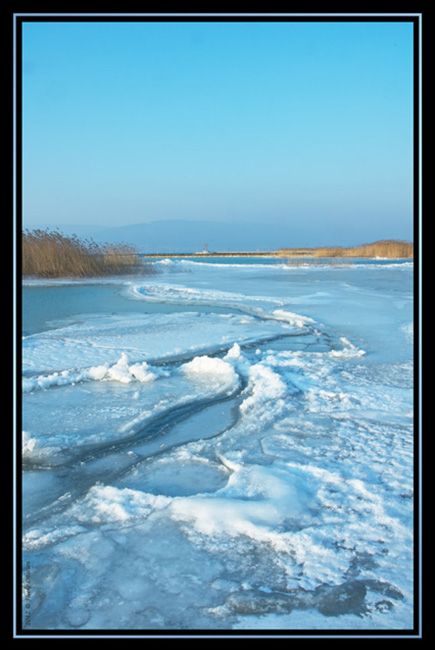 Nature - Photographie des bords du lac de Morat gelés en hiver