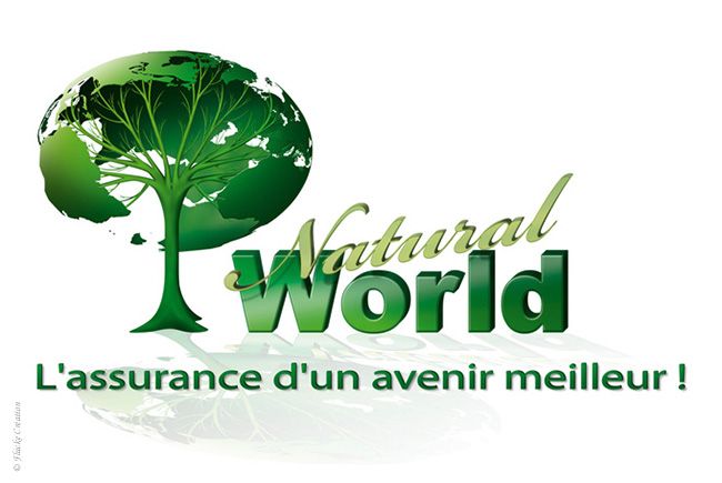 Logo - Création d'un logo pour l'association Natural World